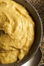 Homemade Spicy Mustard Sauce Royalty Free Stock Photo