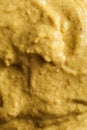 Homemade Spicy Mustard Sauce Royalty Free Stock Photo