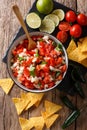 Homemade spicy pico de gallo close-up in a bowl and nachos. Vert