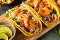 Homemade Spicy Shrimp Tacos Royalty Free Stock Photo