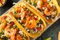 Homemade Spicy Shrimp Tacos Royalty Free Stock Photo