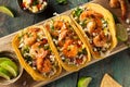 Homemade Spicy Shrimp Tacos Royalty Free Stock Photo