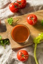 Homemade Spicy Tomato Juice Royalty Free Stock Photo