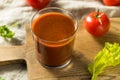 Homemade Spicy Tomato Juice Royalty Free Stock Photo