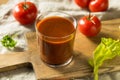 Homemade Spicy Tomato Juice Royalty Free Stock Photo