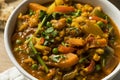 Homemade Spicy Vegan Vegetable Curry