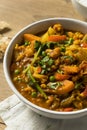 Homemade Spicy Vegan Vegetable Curry