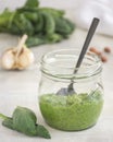 Homemade Spinach based pesto sauce Royalty Free Stock Photo