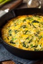 Homemade Spinach and Feta Fritatta Royalty Free Stock Photo