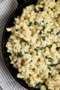 Homemade Spinach Mac and Cheese in a cast-iron pan on cloth, top view. Flat lay, overhead, from above. Close-up Royalty Free Stock Photo