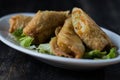 Homemade spring rolls on a bed of lettuce. In a white plate on a wooden background Royalty Free Stock Photo