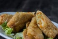 Homemade spring rolls on a bed of lettuce. In a white plate on a wooden background Royalty Free Stock Photo