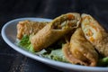 Homemade spring rolls on a bed of lettuce. In a white plate on a wooden background Royalty Free Stock Photo
