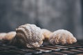 French madeleines with beurre noisette.