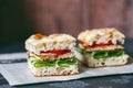 Homemade square burgers with grilled chicken and fresh vegetables in a rustic style. Appetizing snack. Healthy food Royalty Free Stock Photo