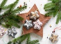 Homemade star shaped Christmas cakes, bird feeder with peanuts, birdseeds and coconut fat for hanging in the garden. Royalty Free Stock Photo