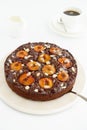 Homemade Sticky Chocolate Plum Cake Royalty Free Stock Photo
