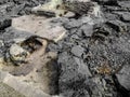 Homemade stone ovens among granite boulders on the shores of the Sea of Marmara in Istanbul Turkey - top view. Handmade outdoor