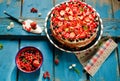 Homemade strawberry cake Royalty Free Stock Photo