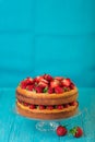 Homemade strawberry cake on a glass stand on the blue background Royalty Free Stock Photo