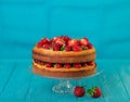 Homemade strawberry cake on a glass stand on the blue background Royalty Free Stock Photo