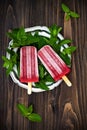 Homemade strawberry mint - ice pops - popsicles - paletas.