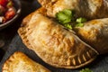 Homemade Stuffed Chicken Empanadas