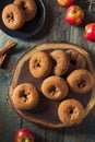 Homemade Sugared Apple Cider Donuts