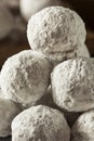 Homemade Sugary Donut Holes Royalty Free Stock Photo