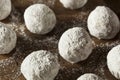 Homemade Sugary Donut Holes Royalty Free Stock Photo