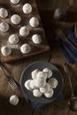 Homemade Sugary Donut Holes Royalty Free Stock Photo