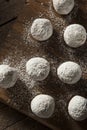 Homemade Sugary Donut Holes Royalty Free Stock Photo