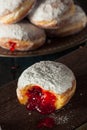 Homemade Sugary Paczki Donut Royalty Free Stock Photo