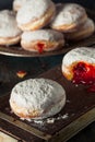 Homemade Sugary Paczki Donut Royalty Free Stock Photo