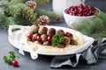 Homemade swedish meatballs with mashed potatoes and cranberry sauce Royalty Free Stock Photo