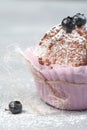 Homemade sweet blueberry muffins close up Royalty Free Stock Photo