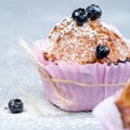 Homemade sweet blueberry muffins close up Royalty Free Stock Photo