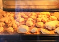 Homemade sweet cinnamon roll baking on a sheet in oven