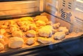 Homemade sweet cinnamon roll baking on a sheet in oven