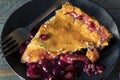 Homemade Sweet Concord Grape Pie