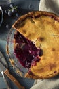 Homemade Sweet Concord Grape Pie