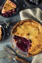 Homemade Sweet Concord Grape Pie