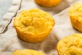 Homemade Sweet Corn Bread Muffins Royalty Free Stock Photo