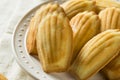 Homemade Sweet French Madeleines