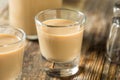 Homemade Sweet Irish Cream Liquor Royalty Free Stock Photo