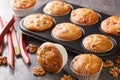 Homemade sweet muffins with rhubarb and walnuts close-up in a baking dish. horizontal Royalty Free Stock Photo