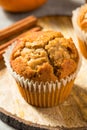 Homemade Sweet Pumpkin Bread Muffins