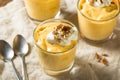 Homemade Sweet Pumpkin Pudding Royalty Free Stock Photo