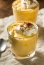 Homemade Sweet Pumpkin Pudding Royalty Free Stock Photo