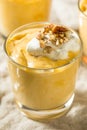 Homemade Sweet Pumpkin Pudding Royalty Free Stock Photo